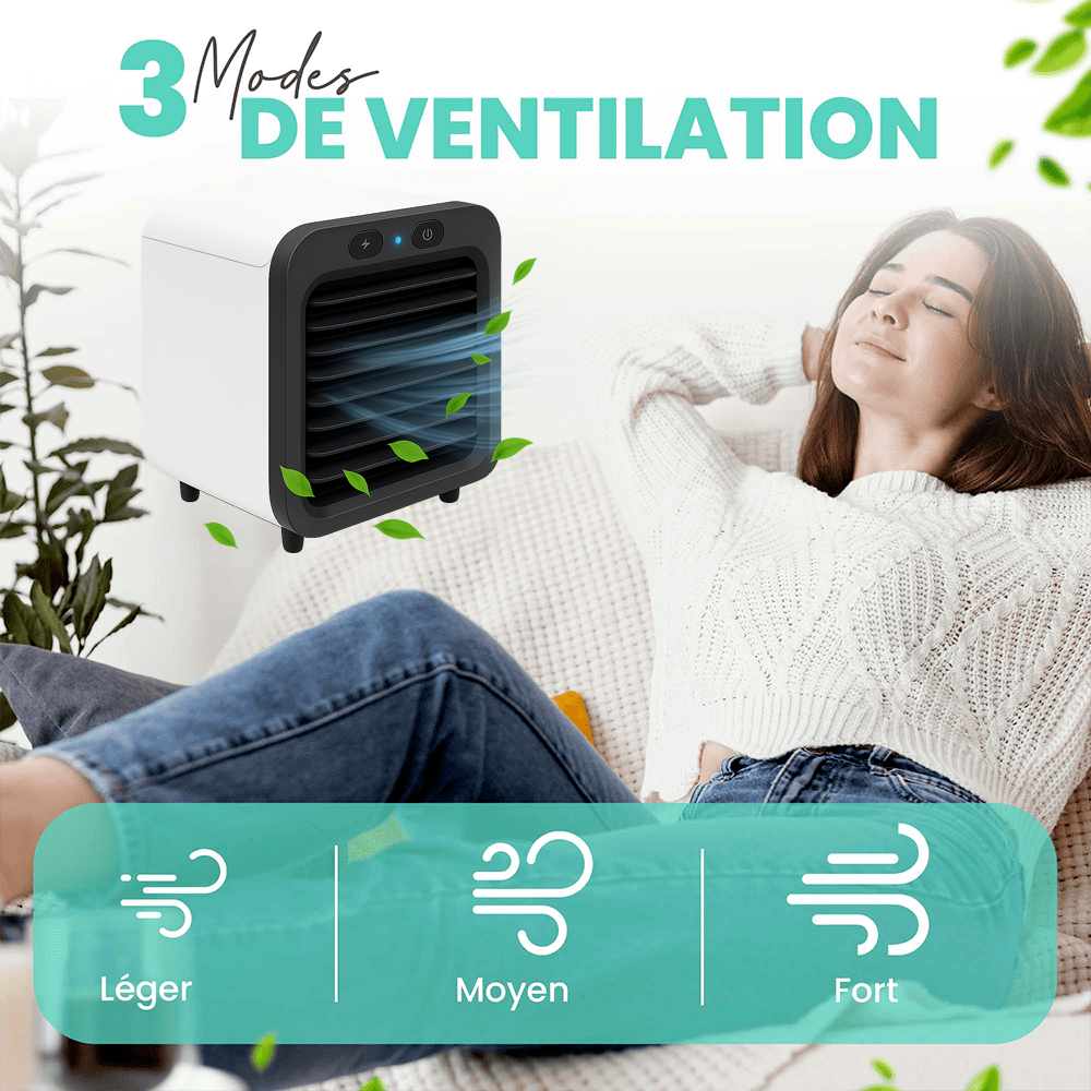 Mini Climatiseur pour Voiture LesInfilables™