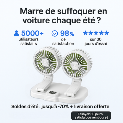 Ventilateur pour Voiture LesInfilables™